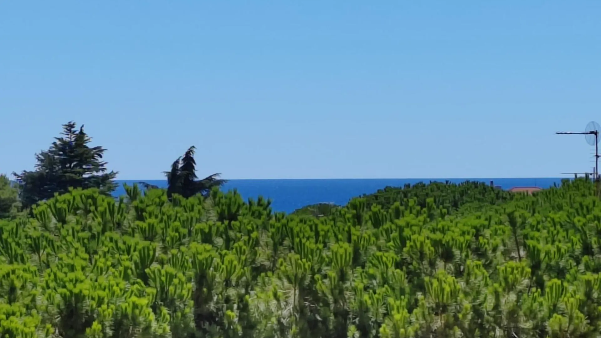 Appartamento Casa Buena Vista Bordighera