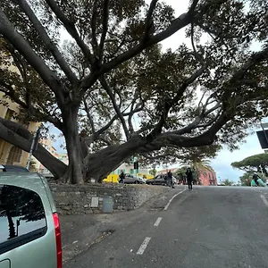 La Scalinata Bordighera